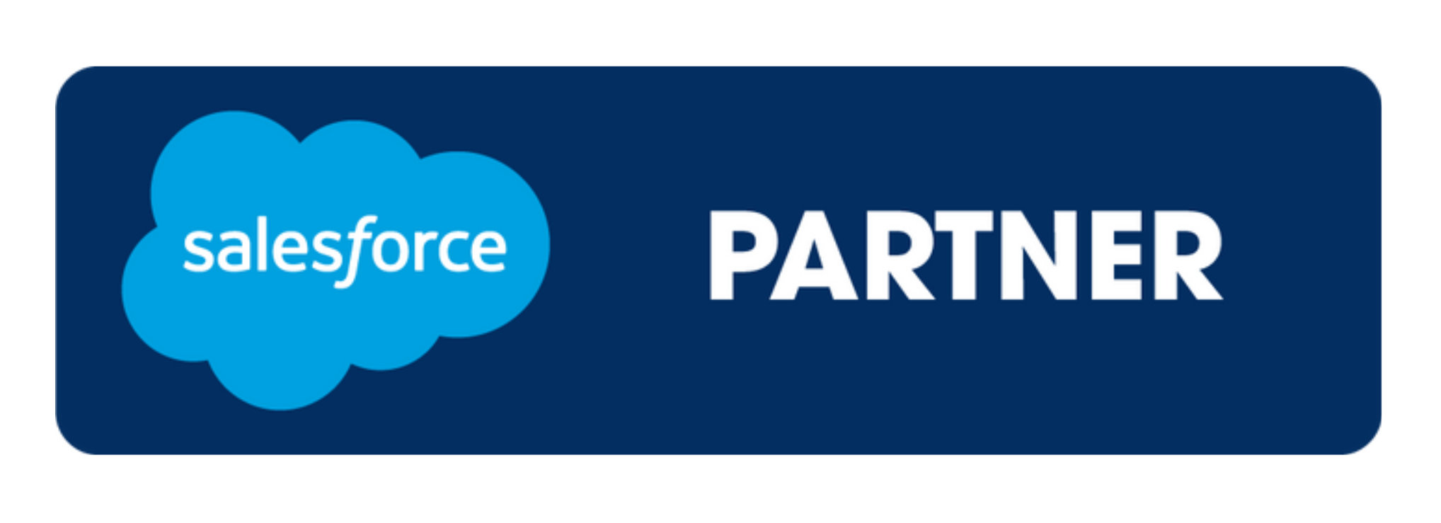 Salesforce Select Partner